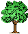 Stammbaum